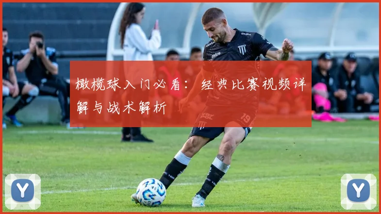 橄榄球入门必看:经典比赛视频详解与战术解析