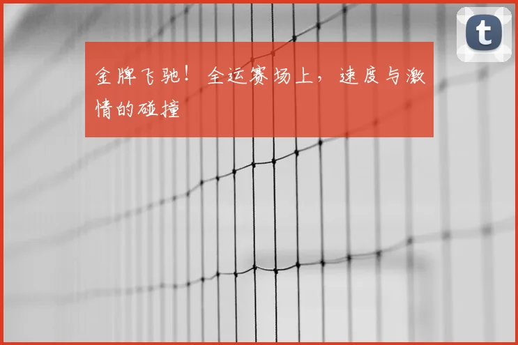金牌飞驰!全运赛场上,速度与激情的碰撞
