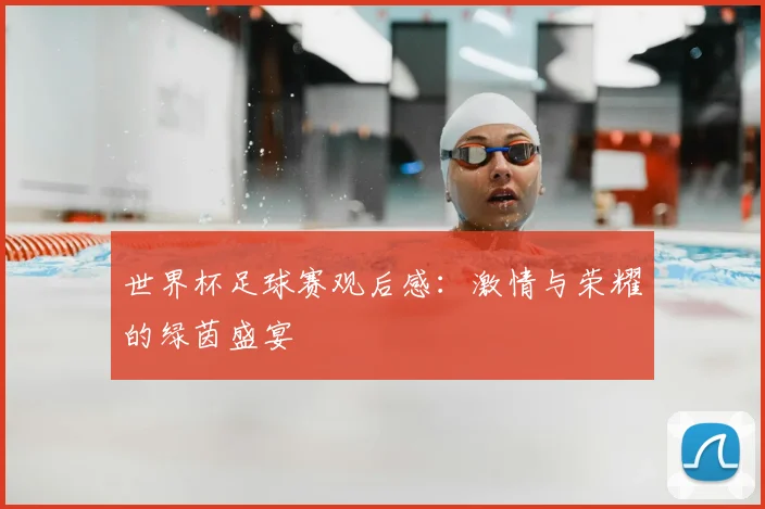 世界杯足球赛观后感：激情与荣耀的绿茵盛宴