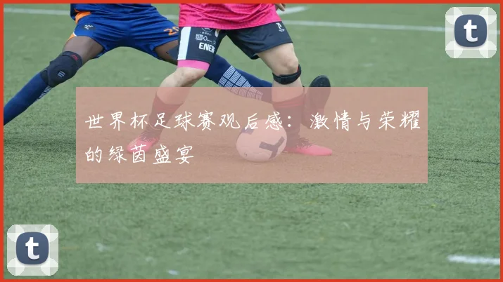 世界杯足球赛观后感：激情与荣耀的绿茵盛宴