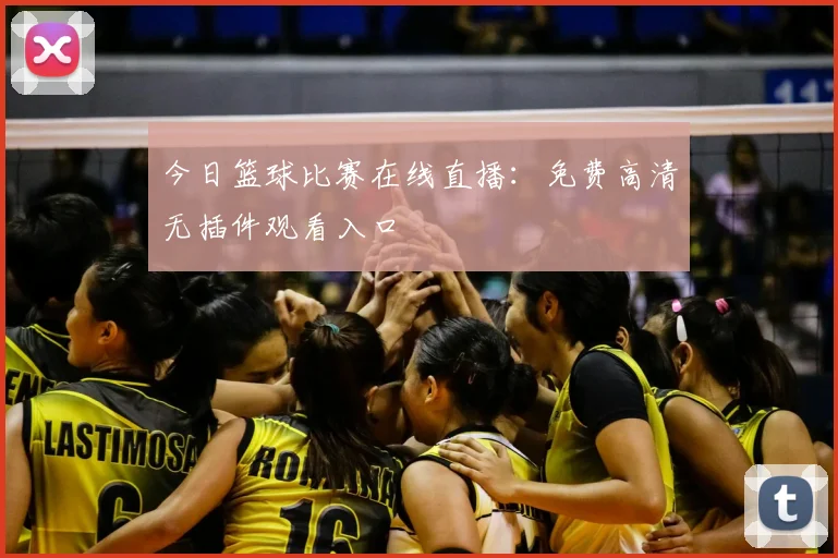 今日篮球比赛在线直播：免费高清无插件观看入口